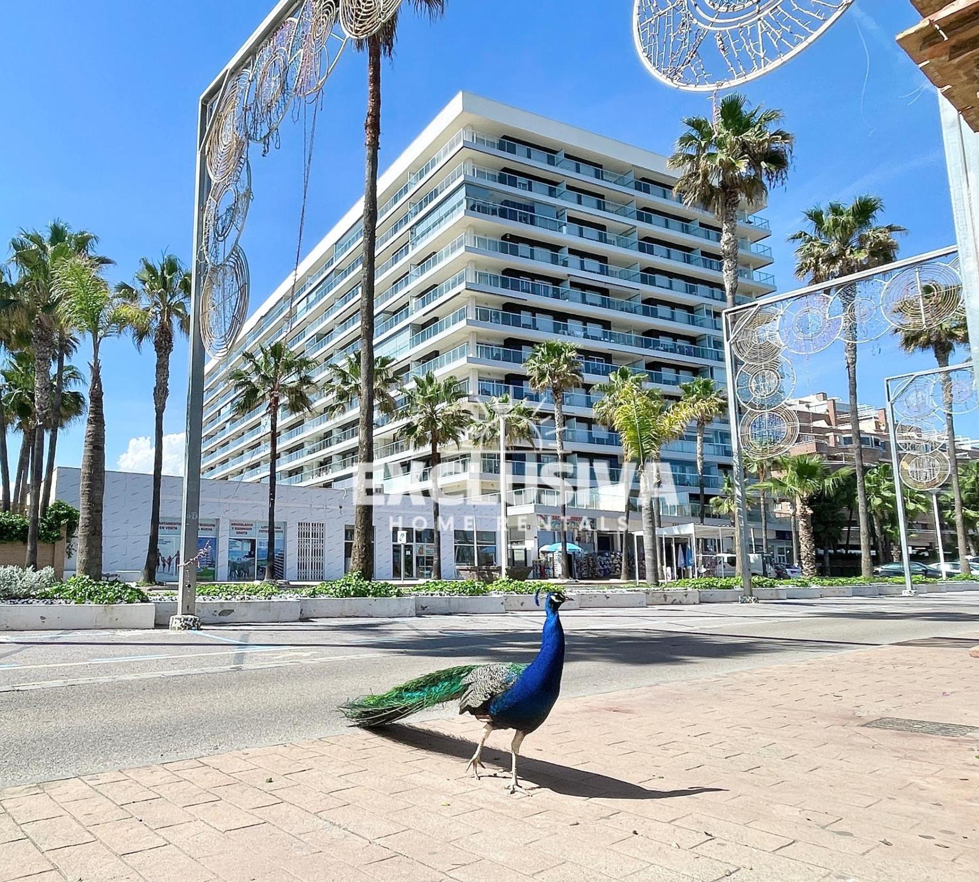Apartamento Albamarina, 1ªlinea, Magic World, Vistas Al Mar! Оропеса-дель-Мар Экстерьер фото